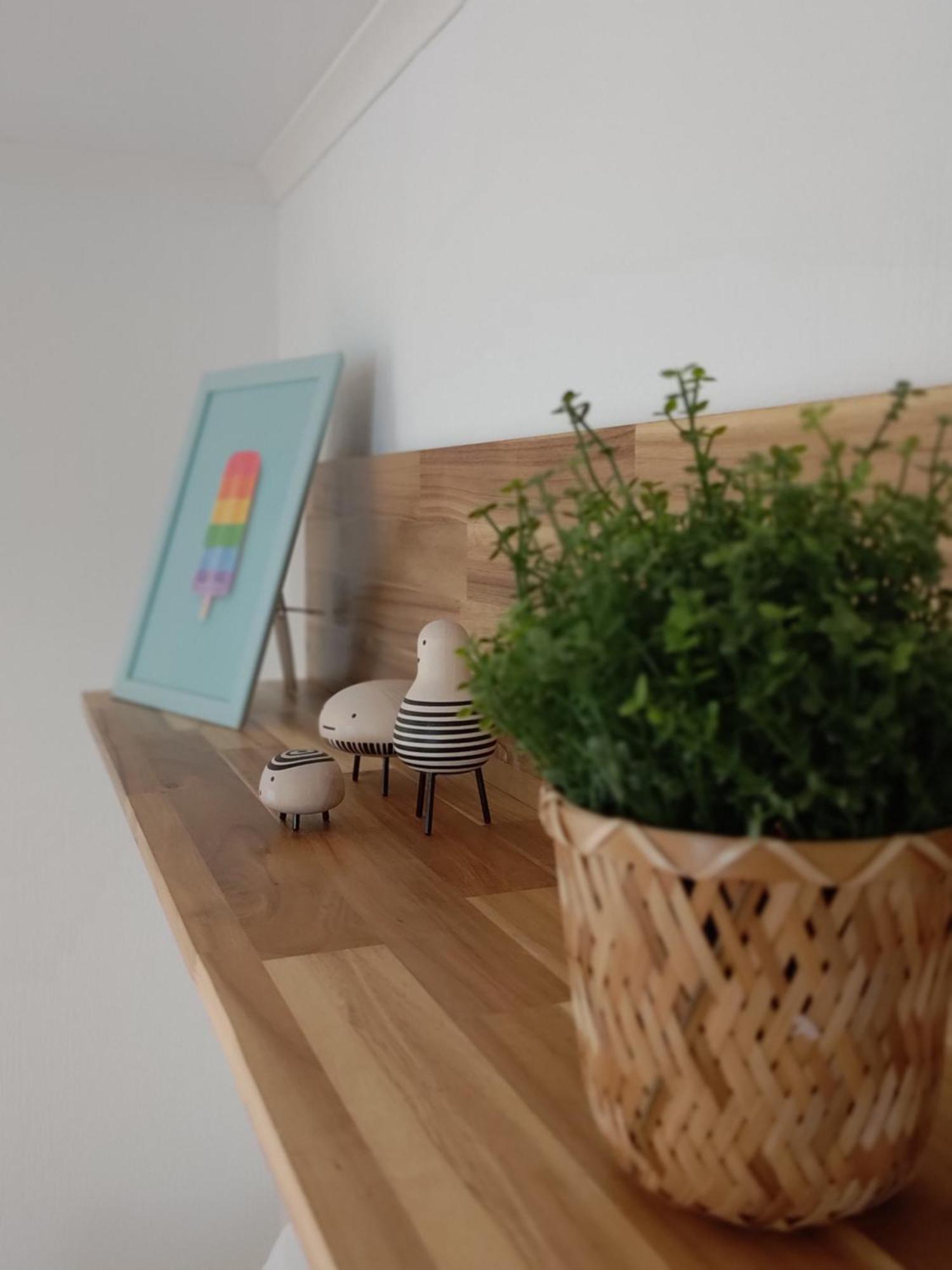 Appartementen Dorp & Duin Egmond aan Zee Ngoại thất bức ảnh