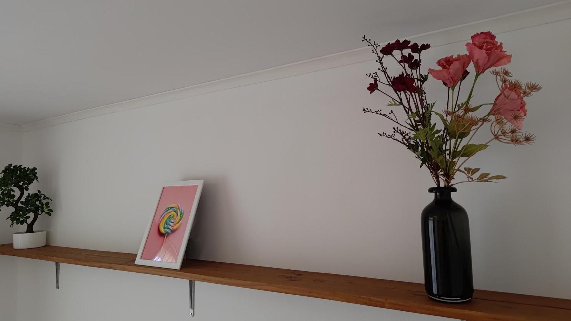 Appartementen Dorp & Duin Egmond aan Zee Ngoại thất bức ảnh